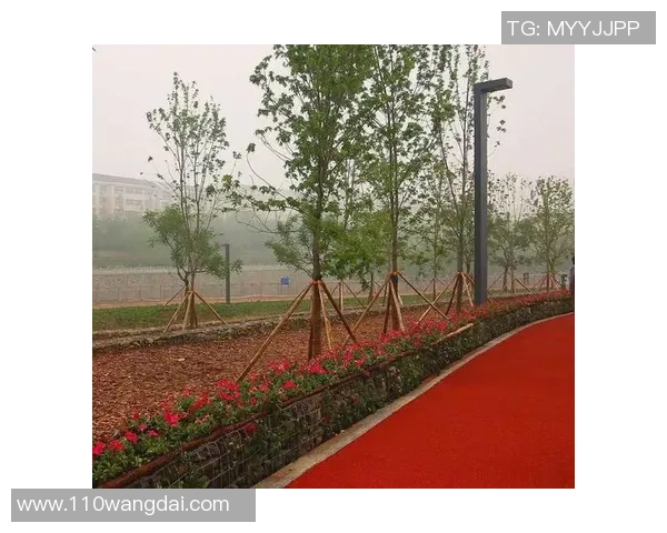 东莞足球公园周边最佳游玩攻略与活动推荐尽享运动与休闲乐趣