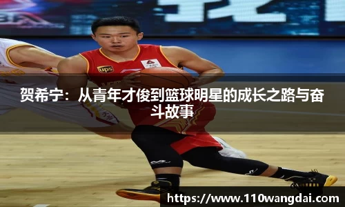贺希宁：从青年才俊到篮球明星的成长之路与奋斗故事